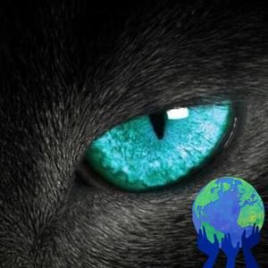 Meet your Posher, Ramon